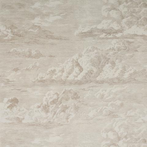 Cloud Toile