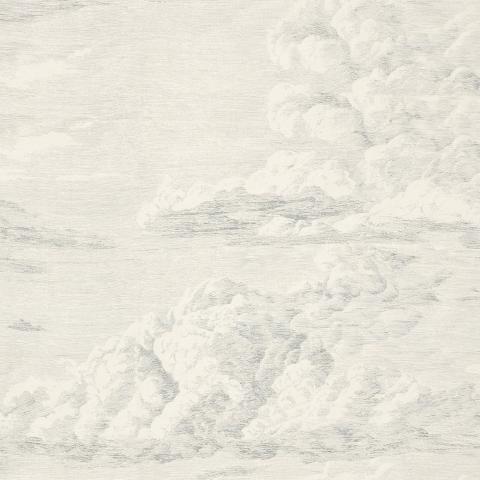 Cloud Toile