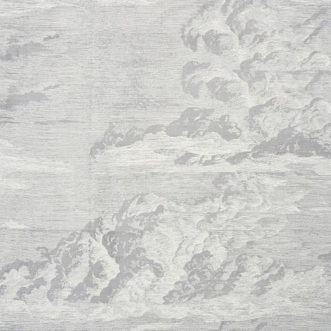 Cloud Toile