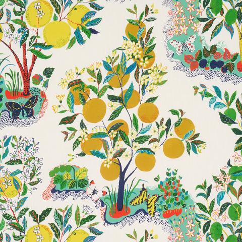 Citrus Garden Indoor/Outdoor