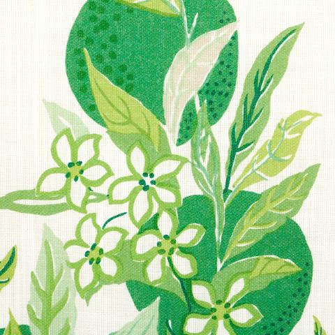 Citrus Garden Indoor/Outdoor