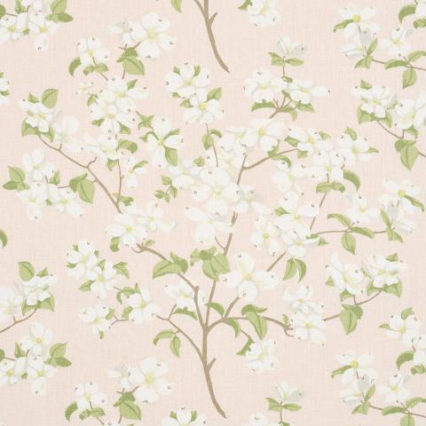 Blooming Branch