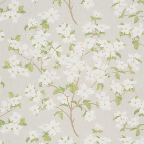 BLOOMING BRANCH