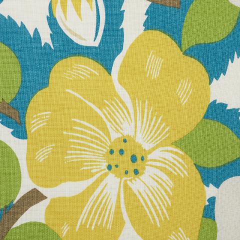 Magnolias