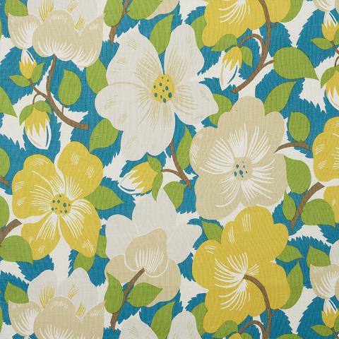 MAGNOLIAS