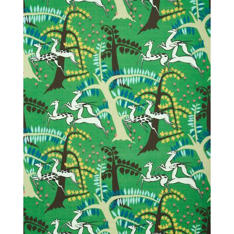 Antelopes