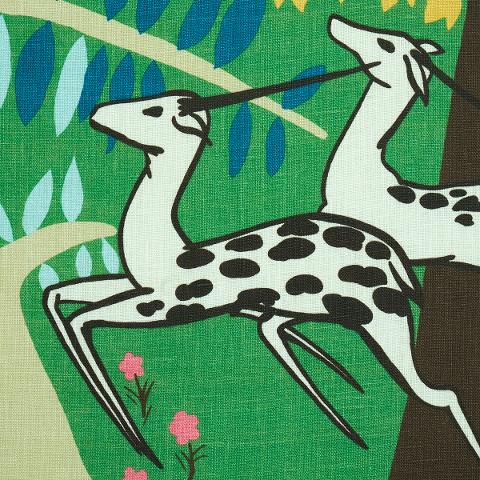Antelopes