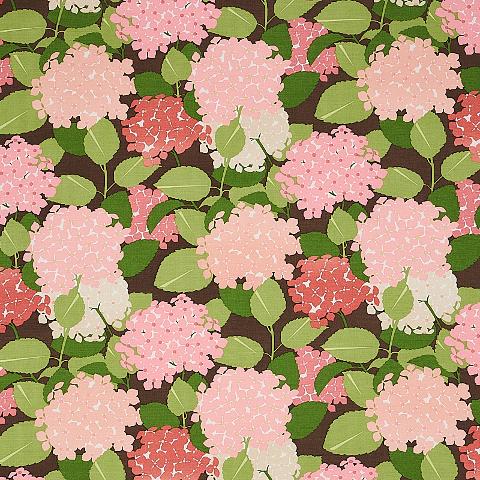 HYDRANGEA