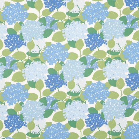 HYDRANGEA