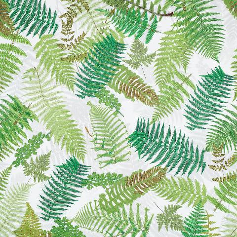 FERNARIUM