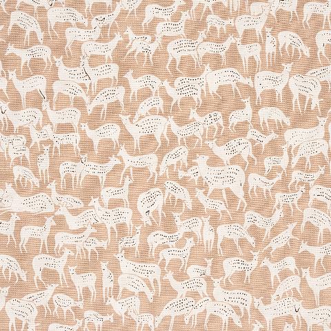 Fauna