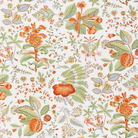 POMEGRANATE BOTANICAL