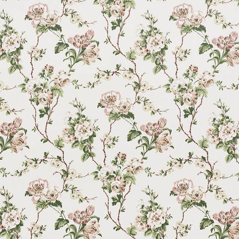 Betty Chintz