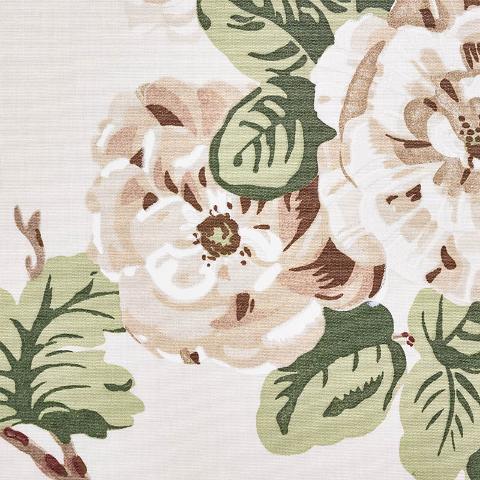 Betty Chintz