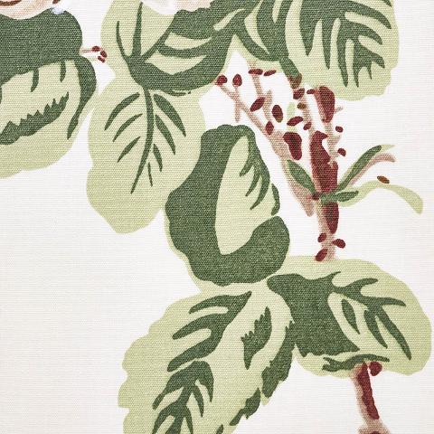 Betty Chintz