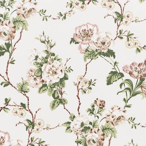 BETTY CHINTZ
