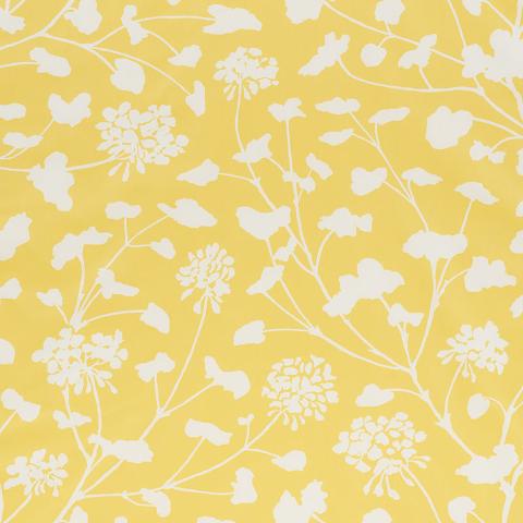 PENNICK CHINTZ