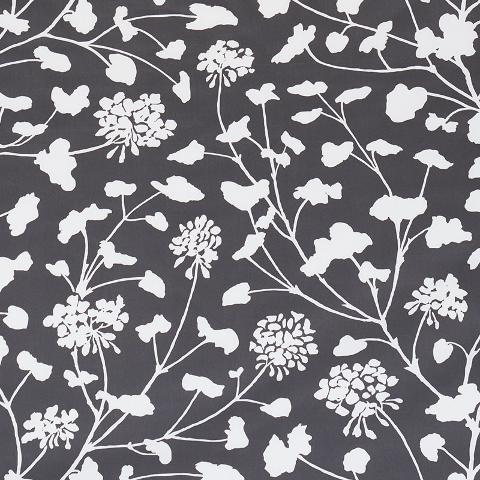 PENNICK CHINTZ