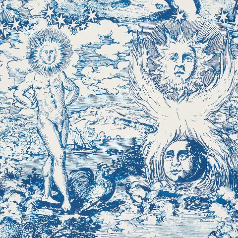 Modern Toile
