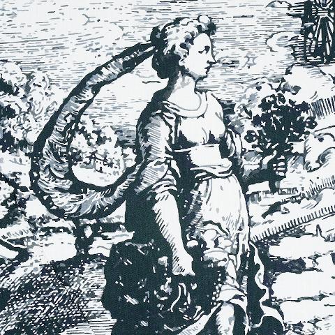 Modern Toile