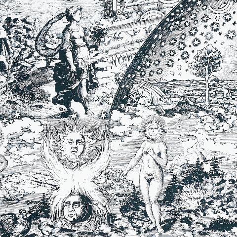 Modern Toile