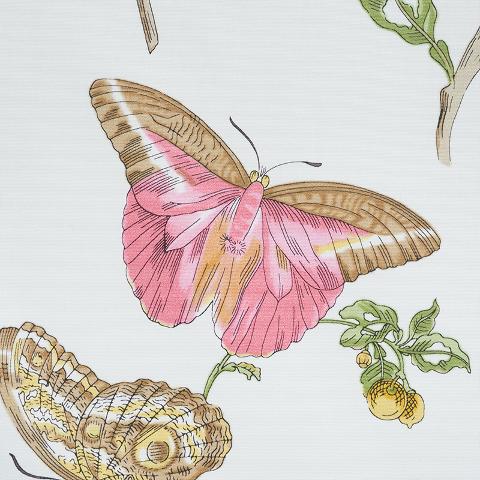 Baudin Butterfly Chintz