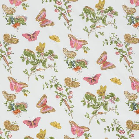 Baudin Butterfly Chintz