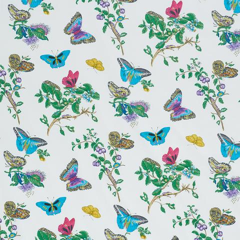 Baudin Butterfly Chintz