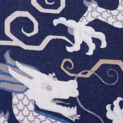 Bixi Dragon