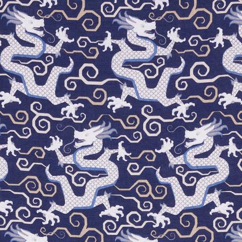 BIXI DRAGON