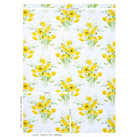 Joni Chintz
