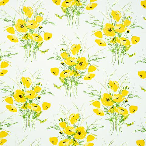 Joni Chintz