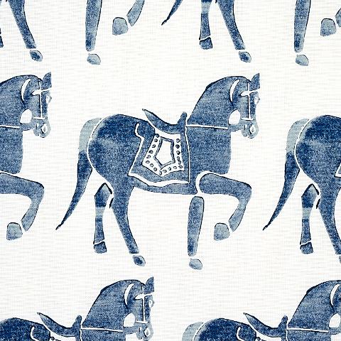 Marwari Horse