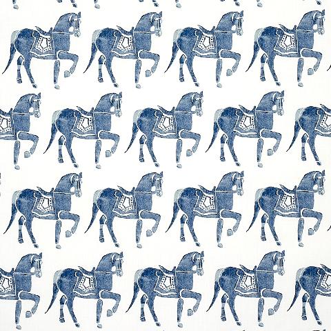 Marwari Horse