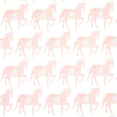 MARWARI HORSE
