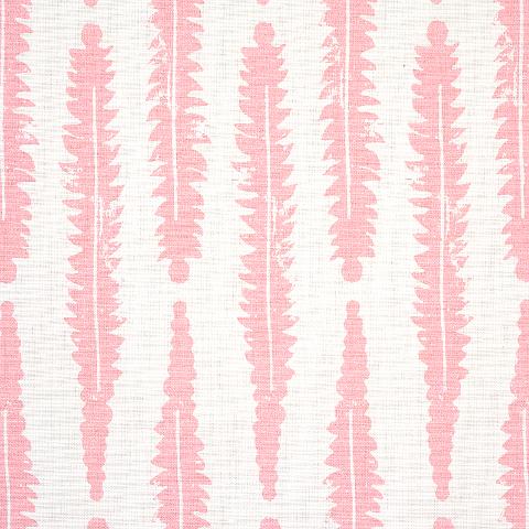 Fern