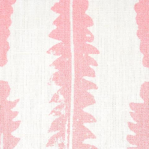 Fern