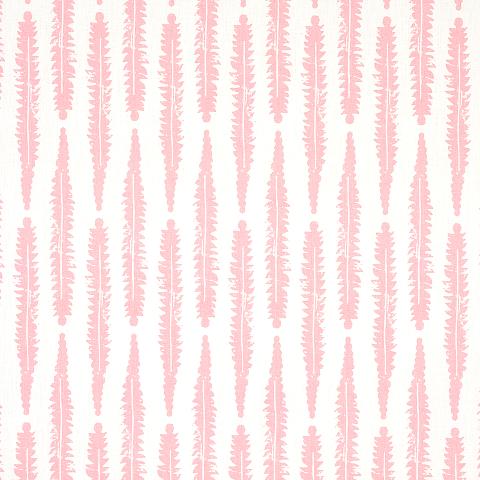Fern