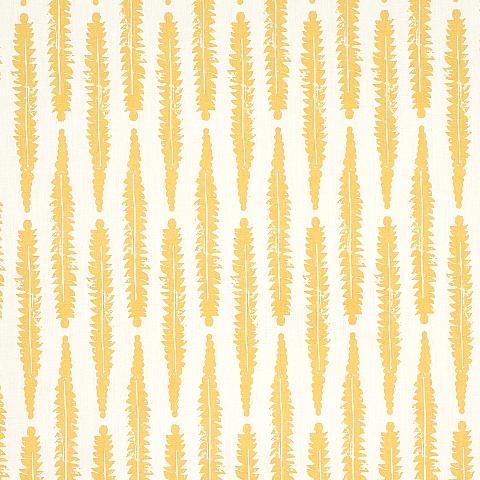 FERN