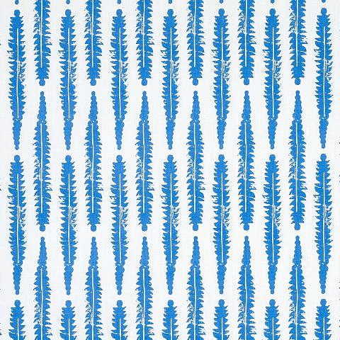 FERN