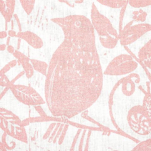 Bird & Bee