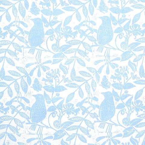 Bird & Bee