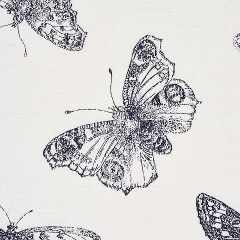 Burnell Butterfly