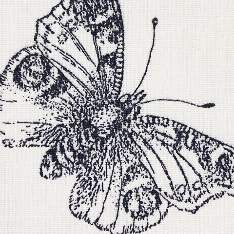 Burnell Butterfly