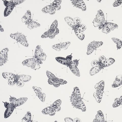 Burnell Butterfly