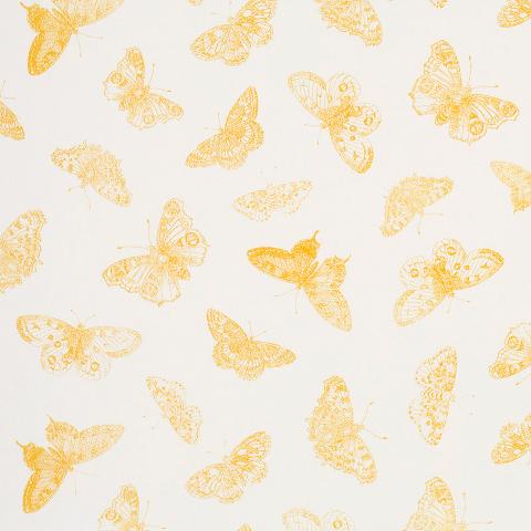 BURNELL BUTTERFLY