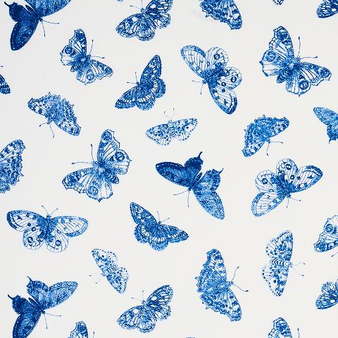 BURNELL BUTTERFLY
