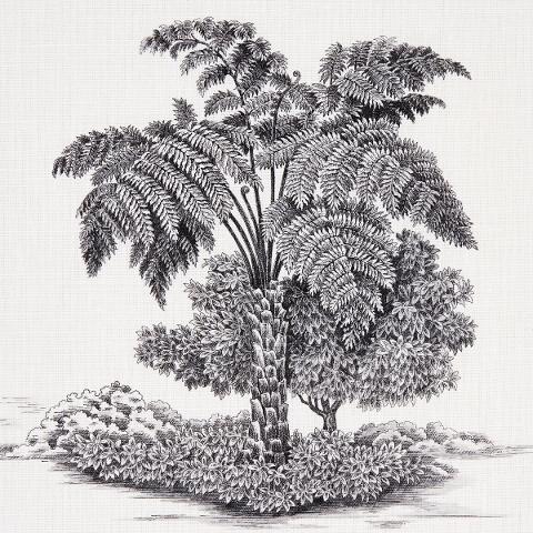 Toussaint Toile
