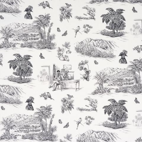TOUSSAINT TOILE
