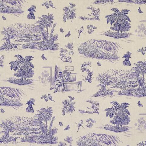 TOUSSAINT TOILE